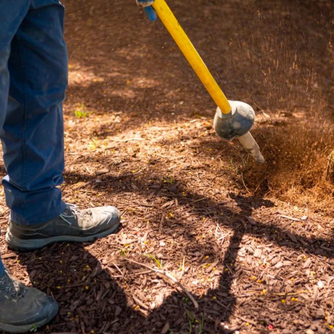 Implementing Cutting Edge Soil Remediation Techniques