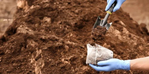 In Depth Soil Health And Risk Assessments (1)